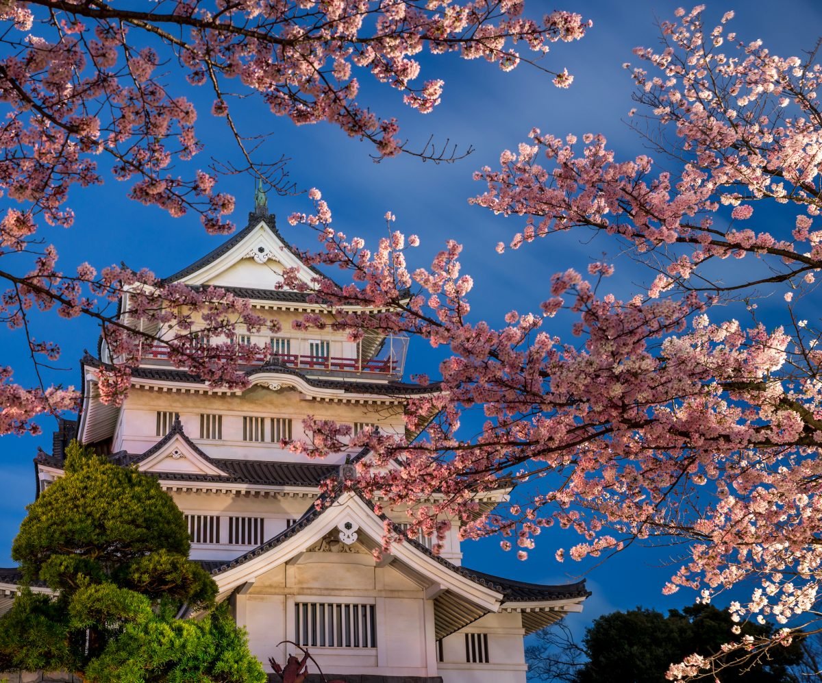 🏯 이노하나 성터(이노하나조세키) 이미지 9